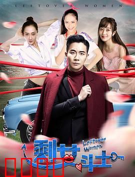 剩女斗士：逆袭职场情场