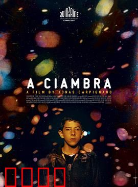 罗姆男孩：边缘少年的救赎