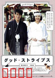 美好条纹：斑马少女的奇幻冒险