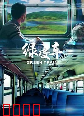 绿皮车：种族与和解之旅
