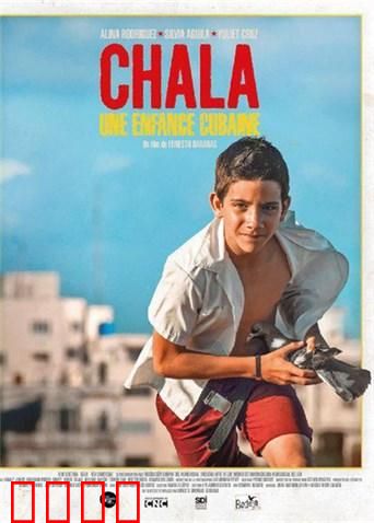 飞不起来的童年：驯鸽少年的梦碎