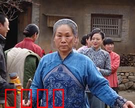 野茱萸：逆袭的野花