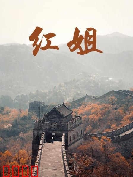 红姐2017：卧底女警归来