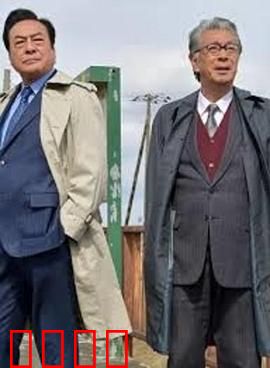 西村京太郎神秘旅行 72 十津川警部的最后旅行：警部最后的挑战