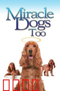 天降神犬2：忠诚守护