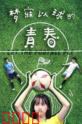 梦寐以球的青春：热血追梦