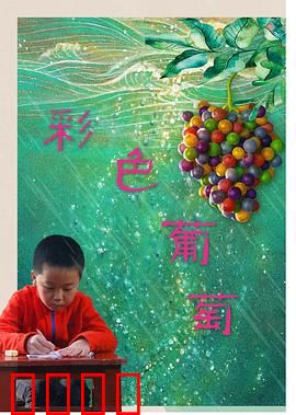 彩色葡萄：色彩疗愈之旅