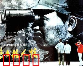 悠悠故人情：知青岁月再回首