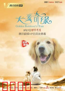犬爱奇缘：狗狗牵红线
