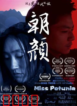 朝颜：牵牛花下的约定