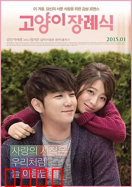 猫的葬礼：爱宠离世后