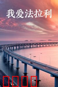 我爱法拉利：速度与激情