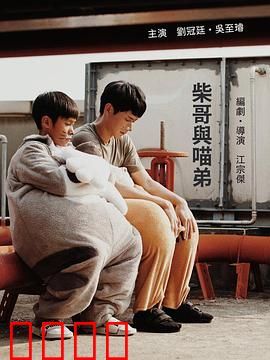 柴哥与喵弟：温馨伙伴