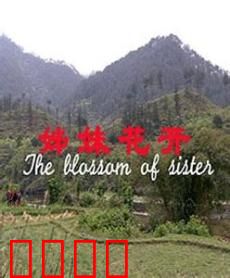 姊妹花开：血脉情深