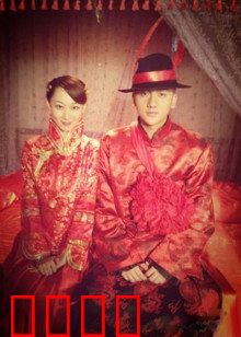 猛虎嗅蔷薇：铁血柔情