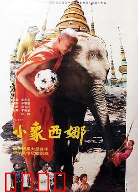 小象西娜：勇敢的成长