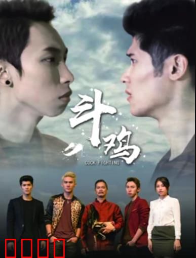 斗鸡：农民的致富梦