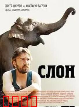 大象菩提：觉醒之旅