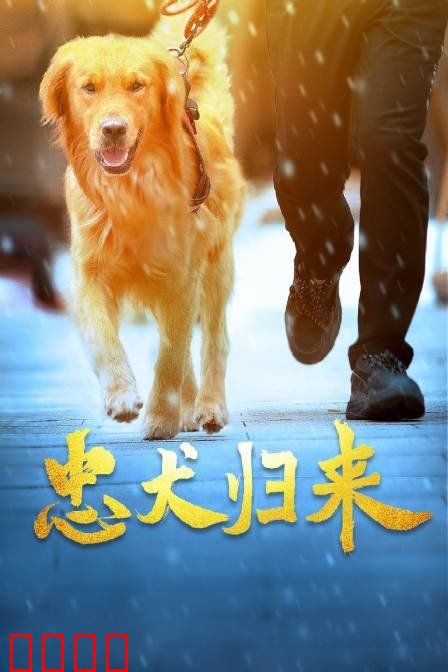 忠犬归来：永不放弃