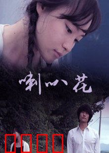 牵牛花：朝颜之约