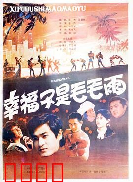 幸福不是毛毛雨：深圳追梦人