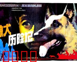 狼犬历险记：智斗恶徒