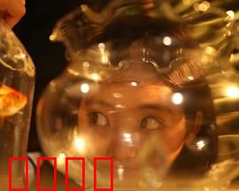 樓上樓下：噪音風波