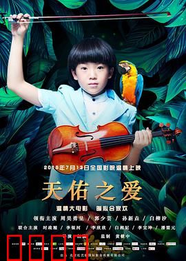 天佑之爱：盲女与犬的救赎