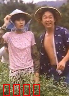 小美我爱你：暗恋终成眷属