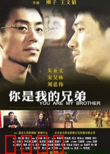 你是我的兄弟：兄弟情深的时代悲歌