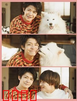 爱你汪汪：最萌人狗情缘