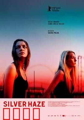 银色薄雾：迷雾中的真相