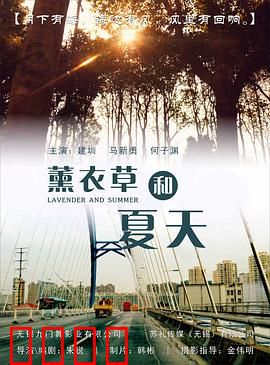 薰衣草和夏天：紫色浪漫季