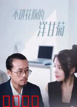 不进花瓶的洋甘菊：生而自由