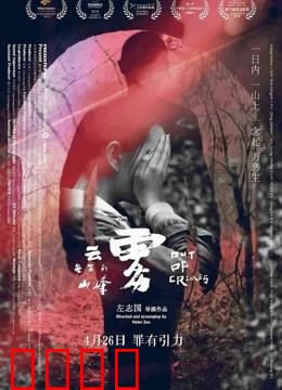 云雾笼罩的山峰：真相的代价