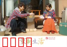 熏制生活：烟熏中的治愈