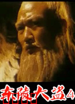 东陵大盗：孙殿英夜盗慈禧墓