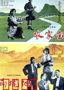 农家宝：农民创业传奇