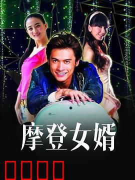 摩登女婿：爆笑家庭囧事