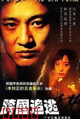 跨国追逃：法网无疆