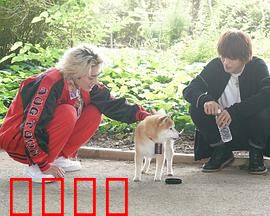 难破MG5特别篇：热血回归