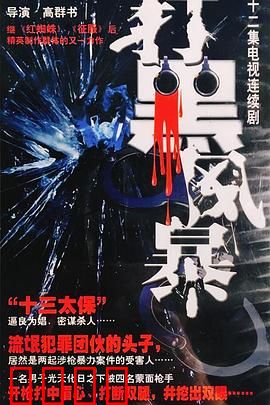 打黑风暴：正义之剑