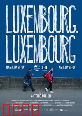 交错卢森堡：命运迷宫