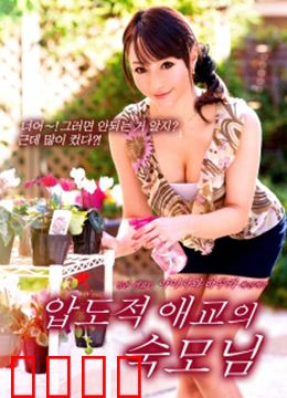 浪荡的心：流浪者的爱情