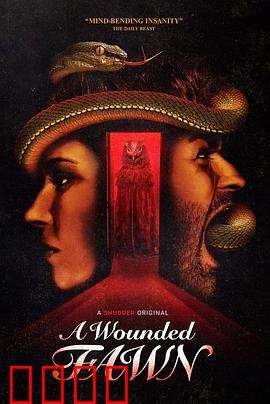 受伤的小鹿：治愈之路