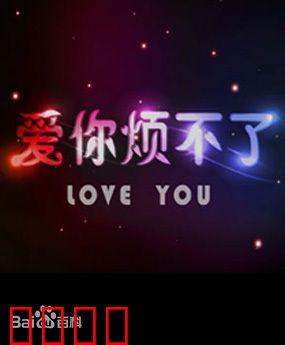 爱你烦不了：甜蜜吵闹