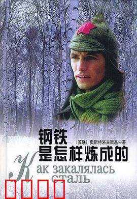 钢铁是怎样炼成的：保尔的钢铁意志