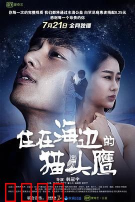 住在海边的猫头鹰：治愈心灵之旅