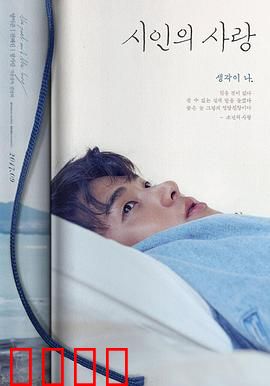 诗人的爱：字里行间的救赎