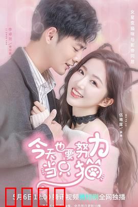 今天也要努力当只猫：喵星人的逆袭